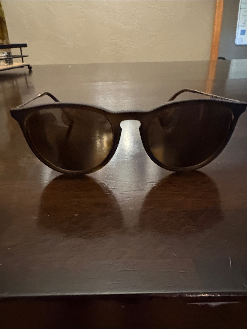 Ray-Ban Black/Brown Erica Cat-Eye Sunglasses
